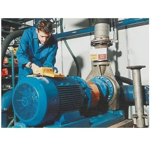 Pumps Repairing and Services