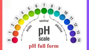 Read more about the article What Is The Full Form Of pH?