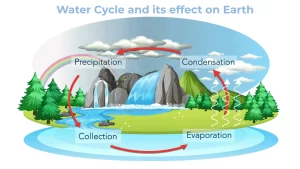 Read more about the article What is Water Cycle and its effect
