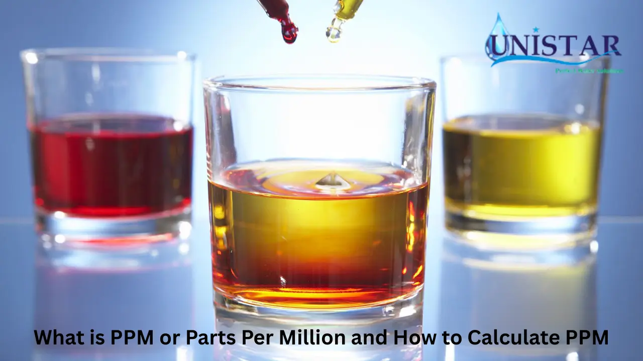 What is PPM or Parts Per Million and How to Calculate PPM